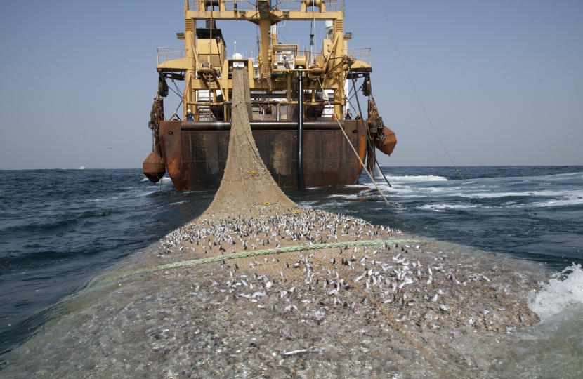 Trawling ban