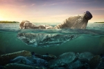 ocean