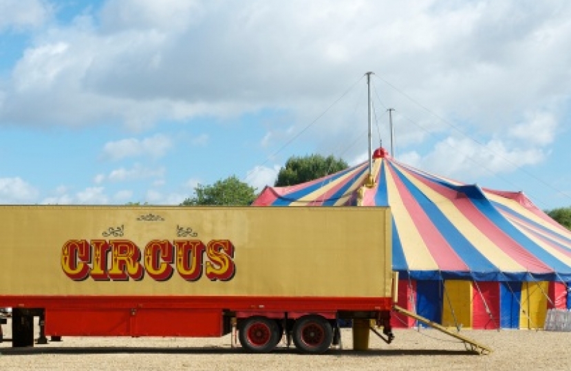 Wild Animals in Circuses